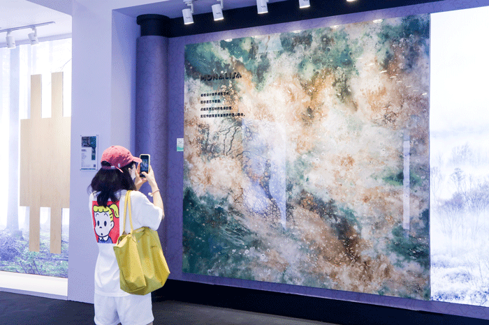 威斯尼斯wns888入口(中国游)官方网站